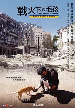 戰火下的毛孩